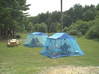 fd2000_11.jpg (28824 bytes)